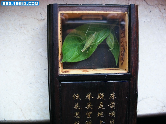 DSCF7570.JPG
