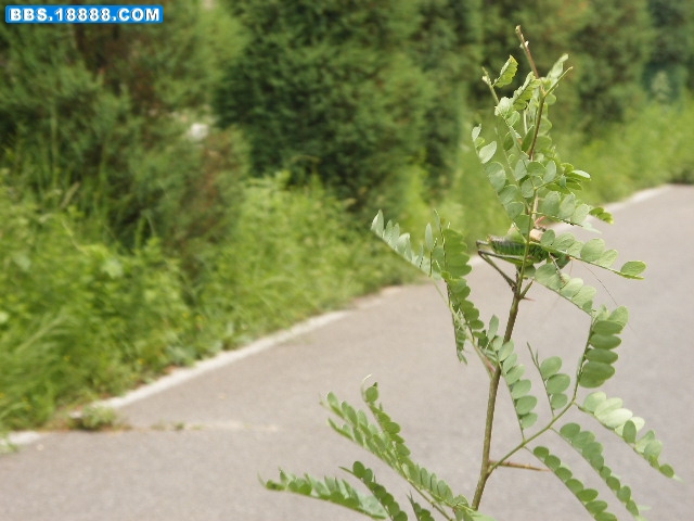 DSCF7658.JPG