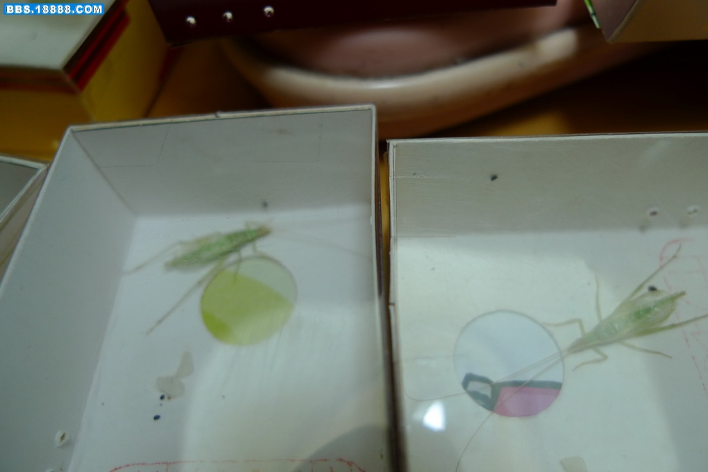 P1000932_调整大小.JPG