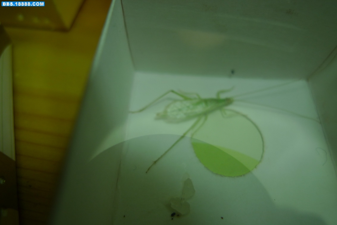 P1000935_调整大小.JPG