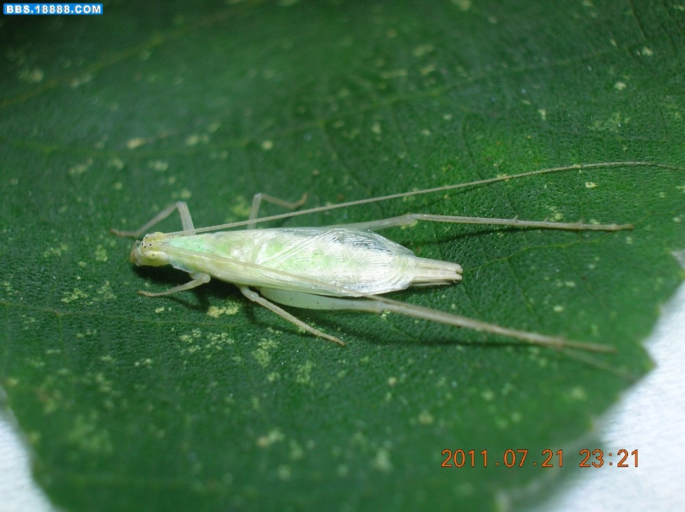 DSCN0049.jpg