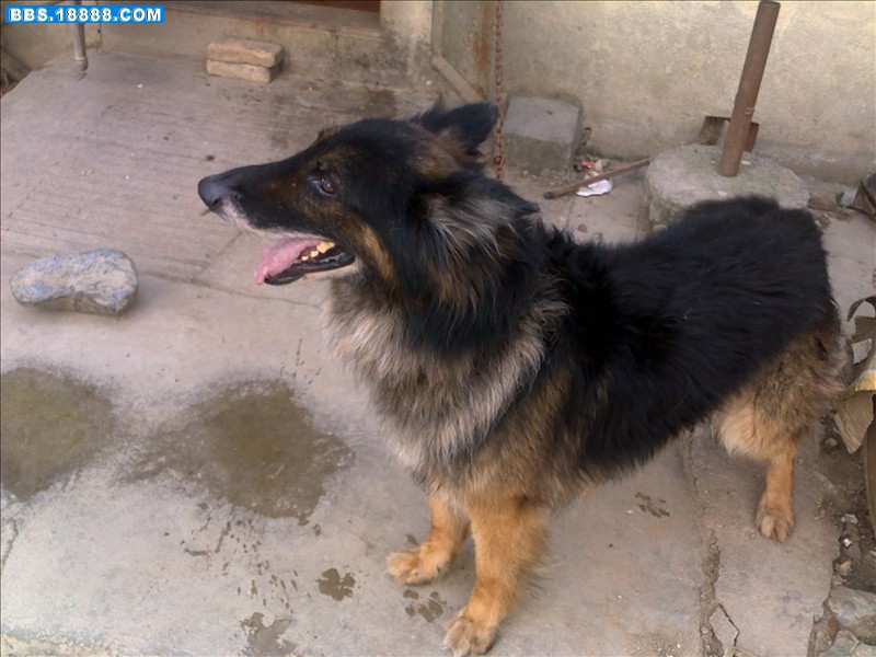 20110708879.jpg