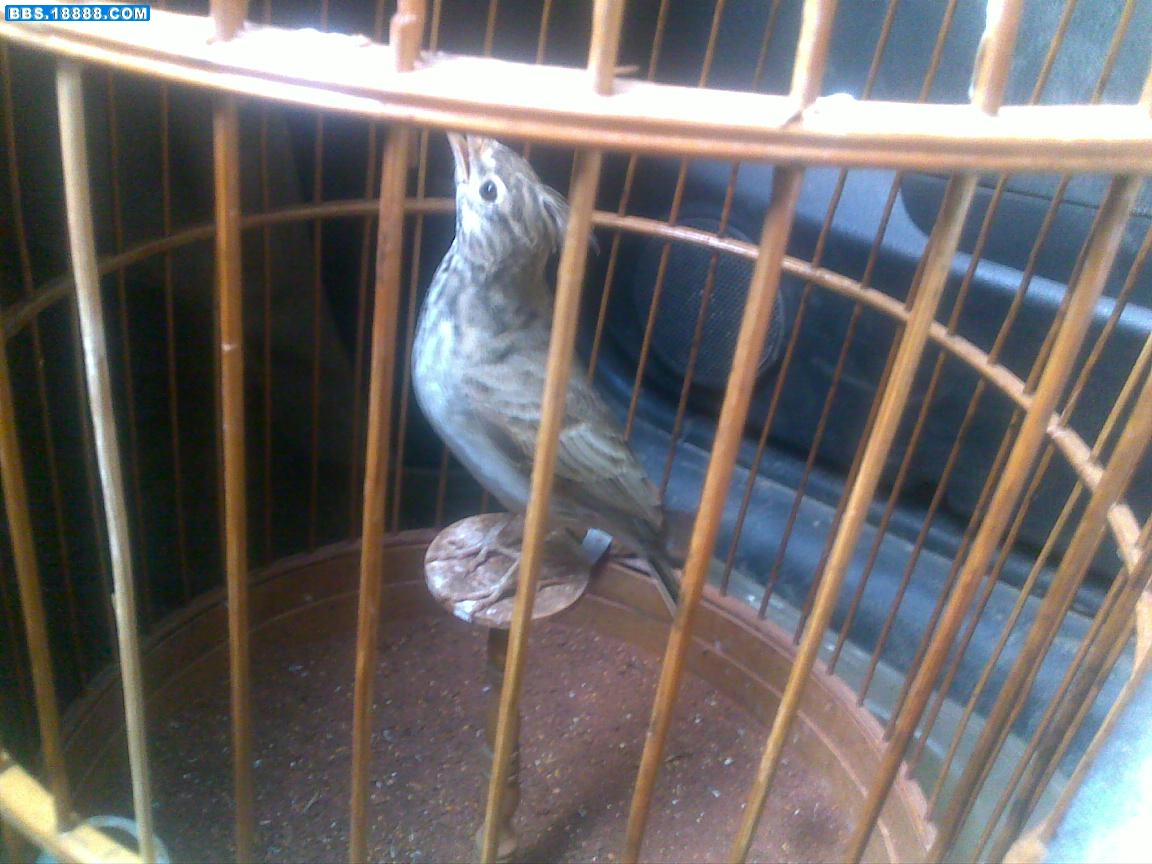 201107021019.jpg