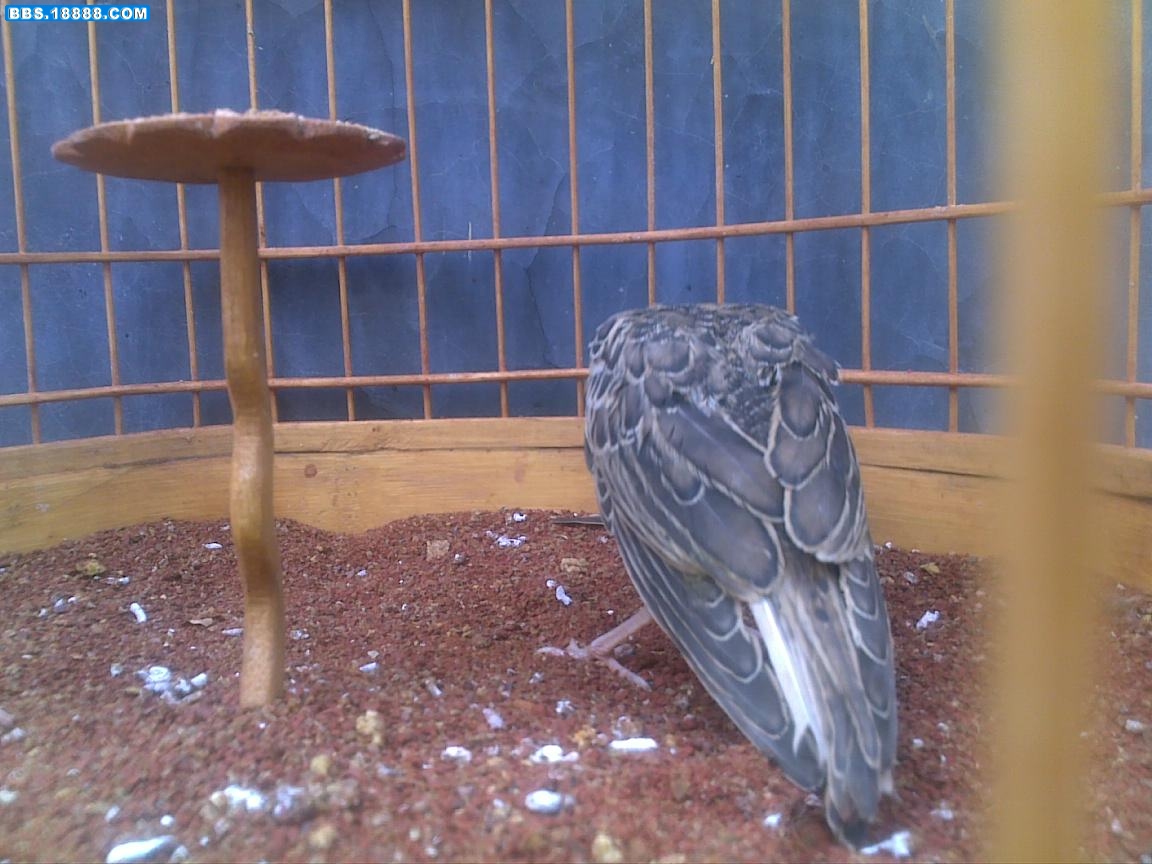 20110721059.jpg
