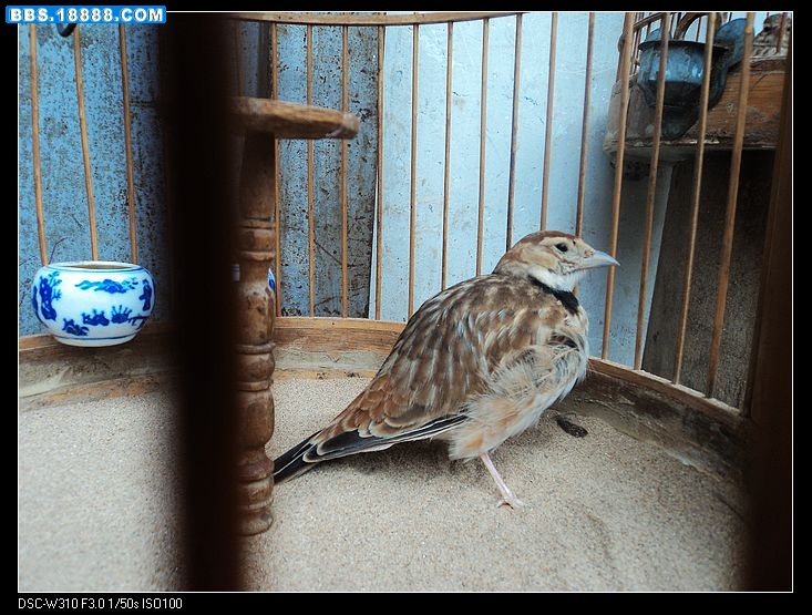 nEO_IMG_DSC00459.jpg
