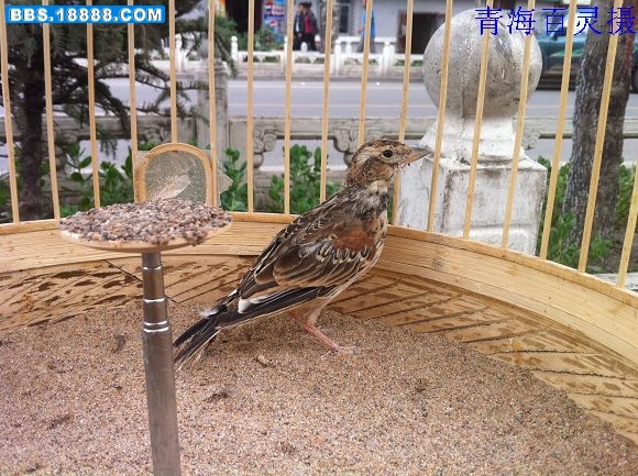 nEO_IMG_照片 070.jpg