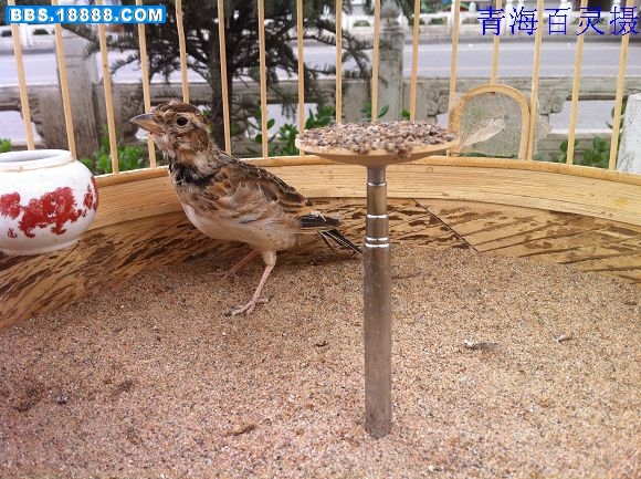 nEO_IMG_照片 061.jpg