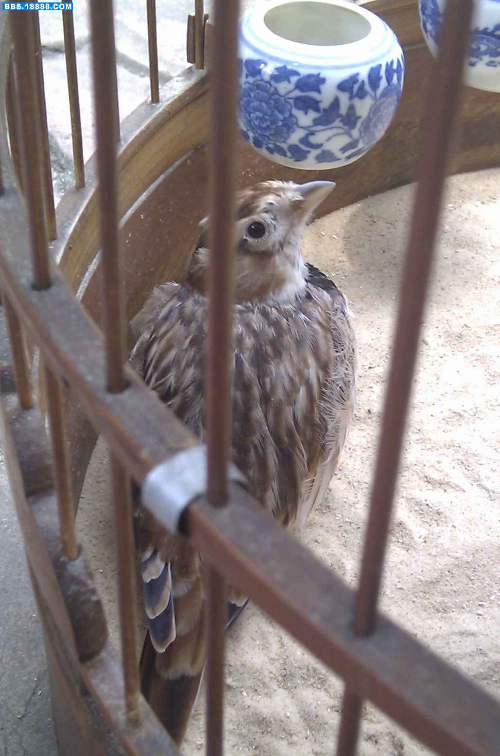IMAG0375.jpg
