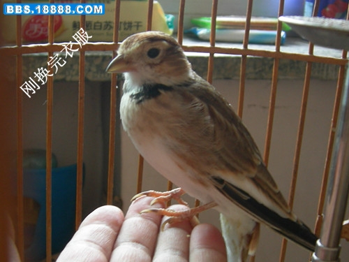RSCN4596_副本.jpg