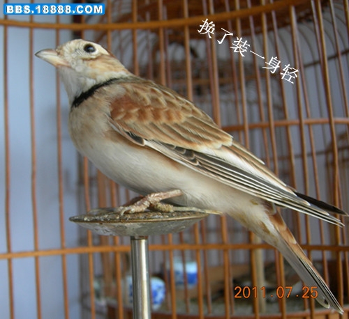 DSCN4610_副本.jpg