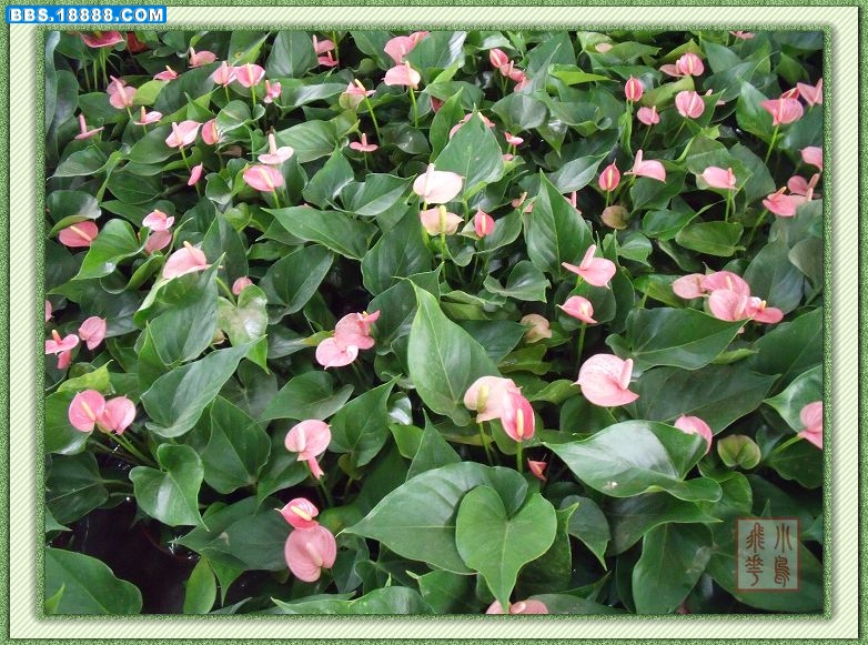 DSCF7180.jpg