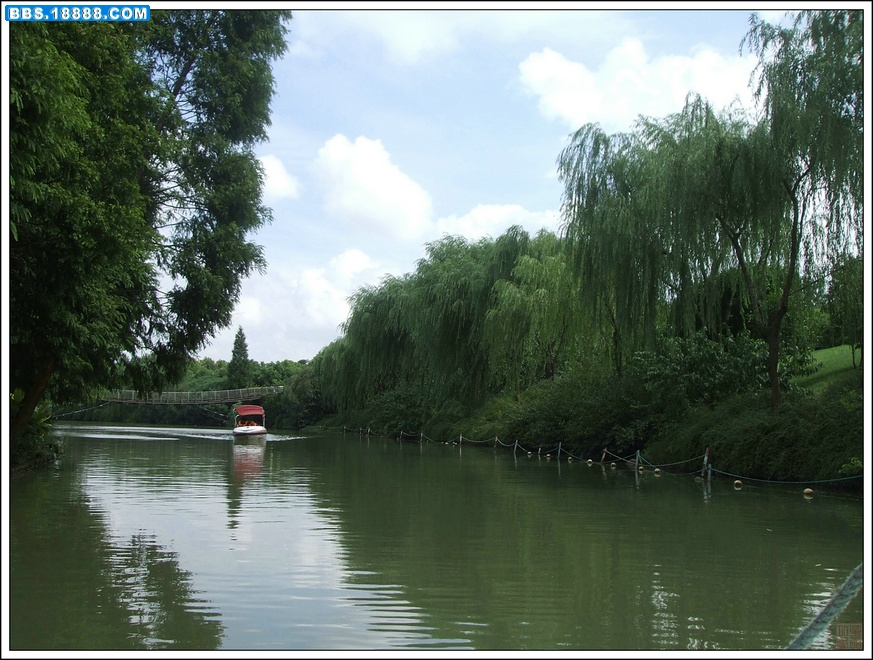 DSCF8592.JPG