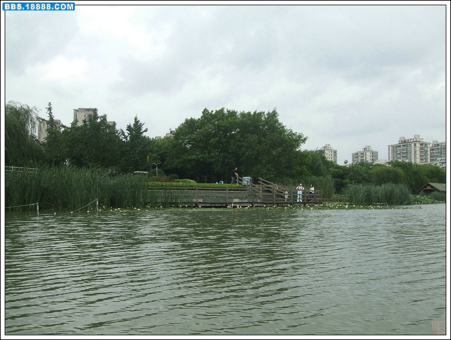 DSCF8648.JPG