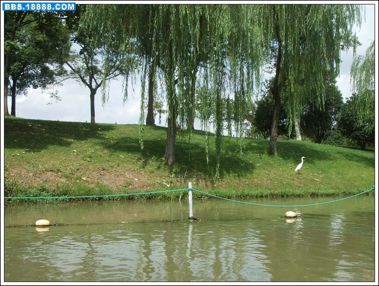 DSCF8627.JPG