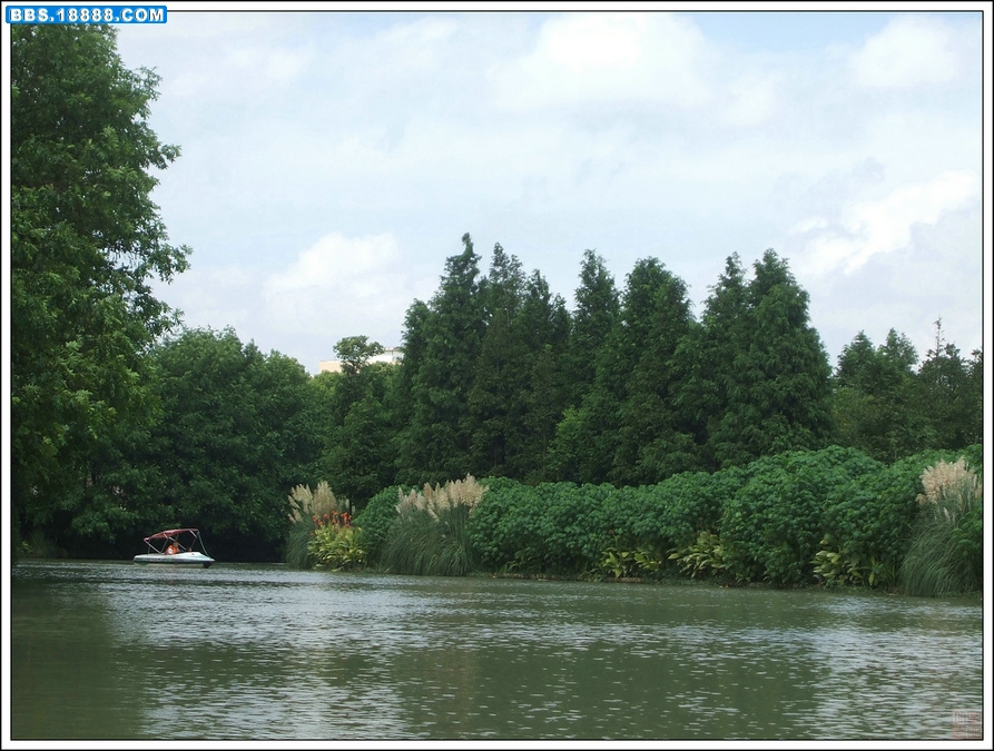 DSCF8607.JPG