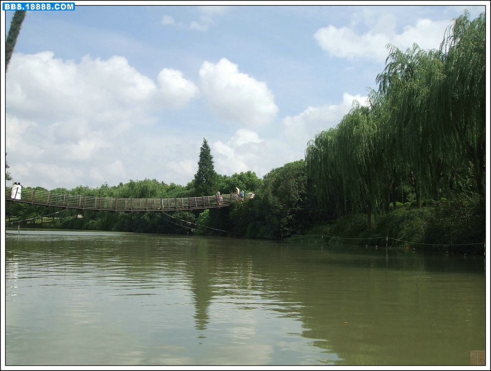 DSCF8594.JPG