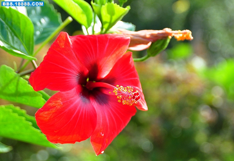 2011.8.23 038.jpg