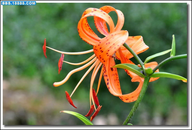 2011.7.20 434.jpg