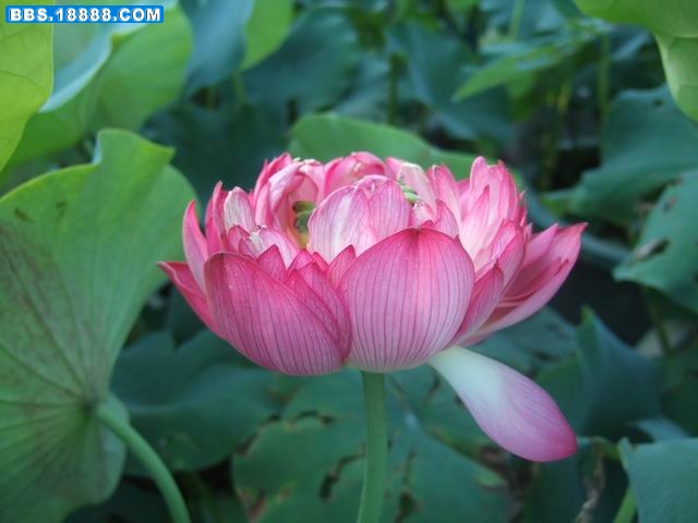 调整大小 DSCF6349.JPG