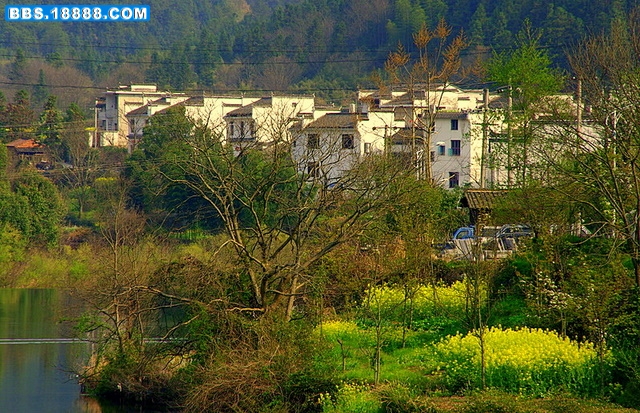IMGP2642-2.JPG