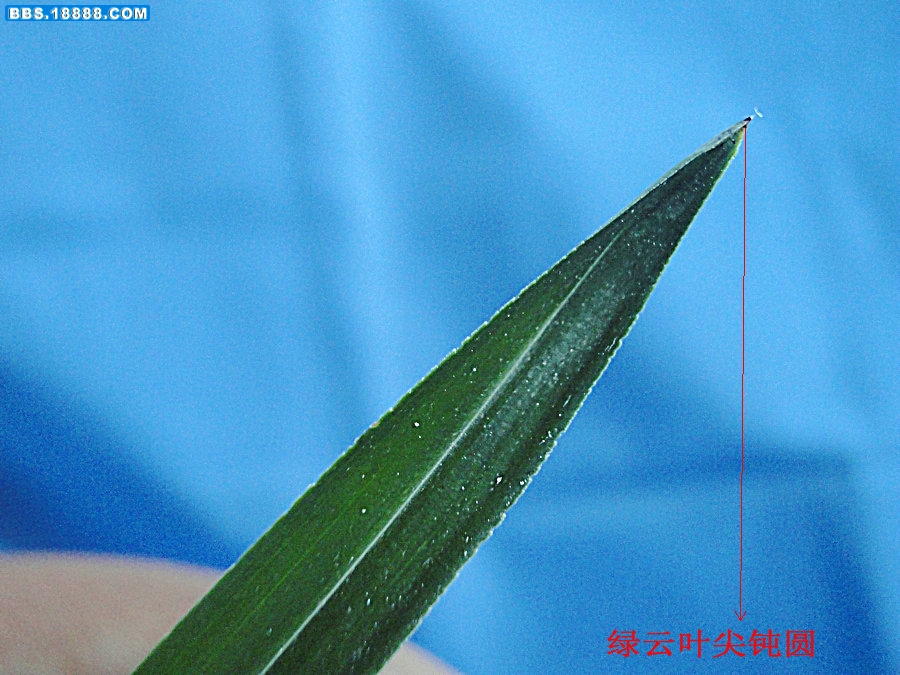 DSC07941_副本_副本_副本.JPG