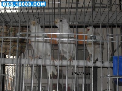 SDC10682.jpg