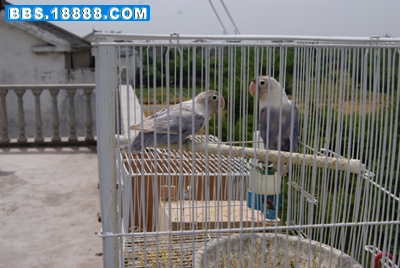 DSC07457.jpg