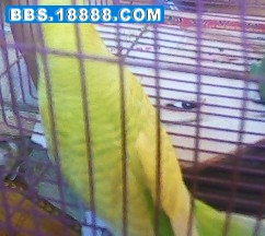 ZBYRD6QTV7@%TFA}[QA])QL.jpg