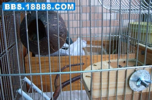 nEO_IMG_SUC53504.jpg