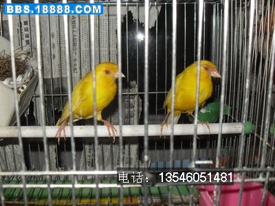 SDC10731.jpg
