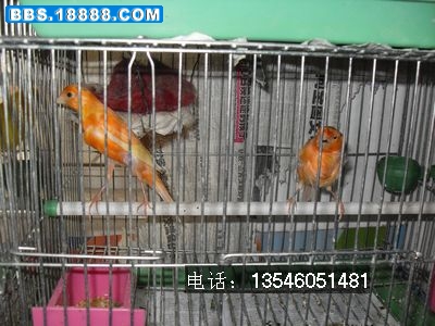 SDC10688.jpg