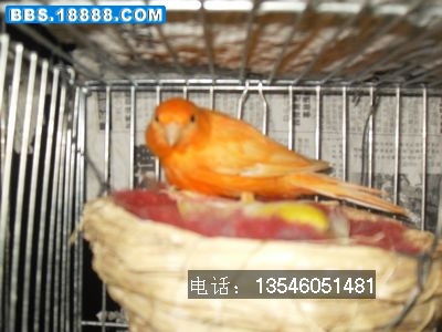 SDC10741.jpg
