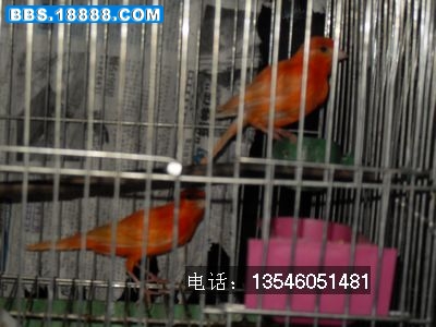 SDC10737.jpg
