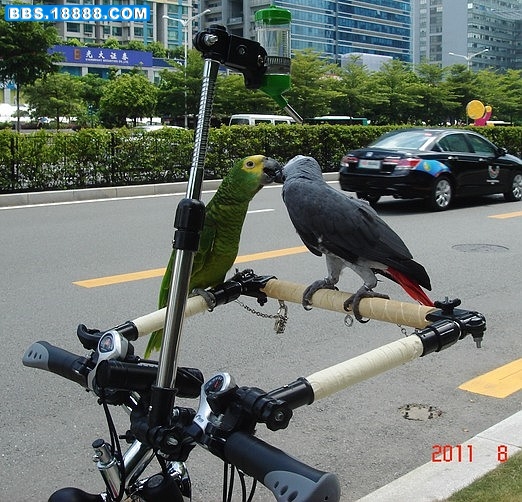 DSC01620.jpg