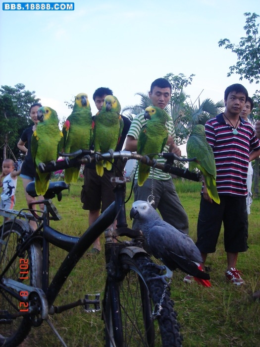 DSC01962.jpg