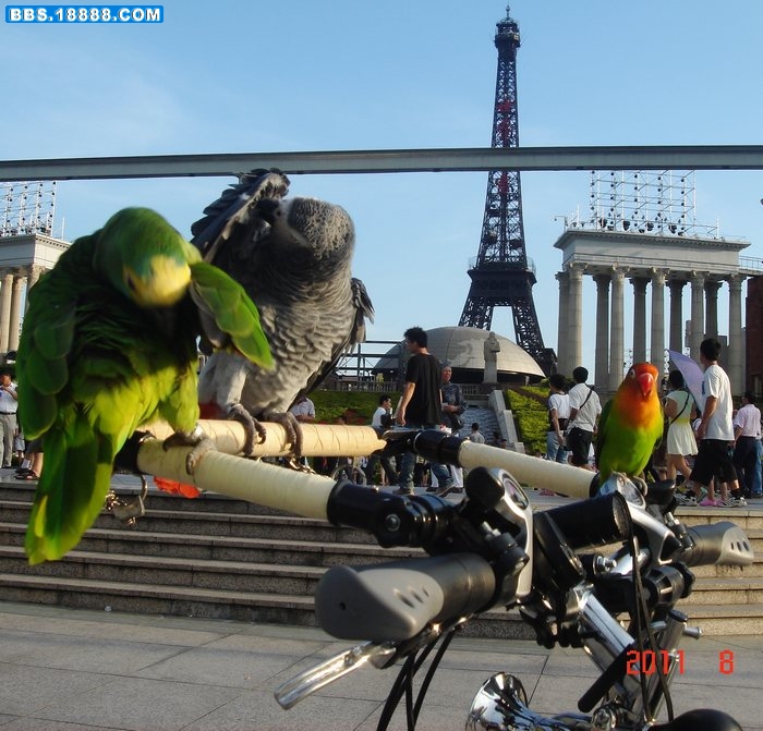 DSC01703.jpg
