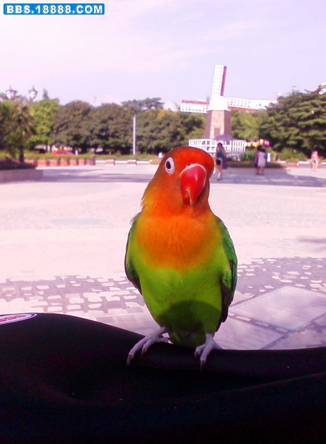 CAM_0919.jpg