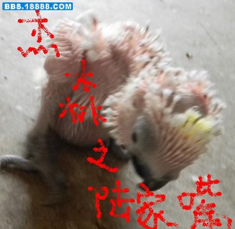 未命名02.jpg