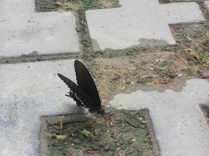 9.JPG