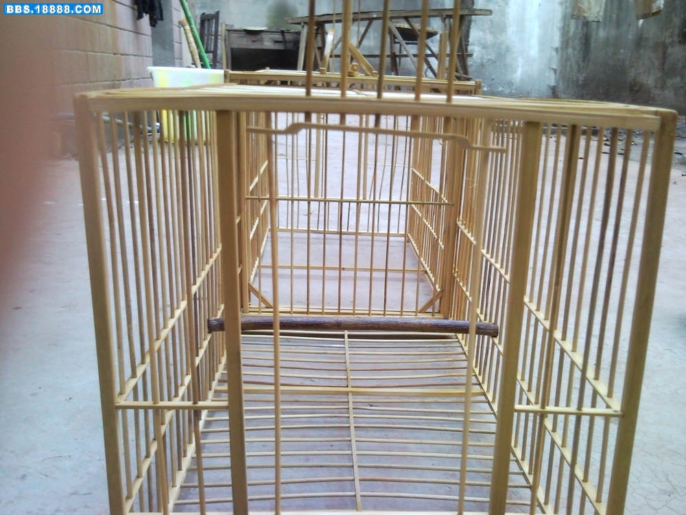 SNC01206.jpg