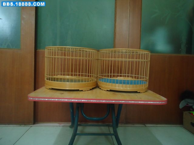 DSC01340.JPG