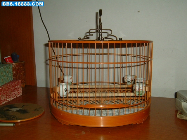 DSCF0099.JPG