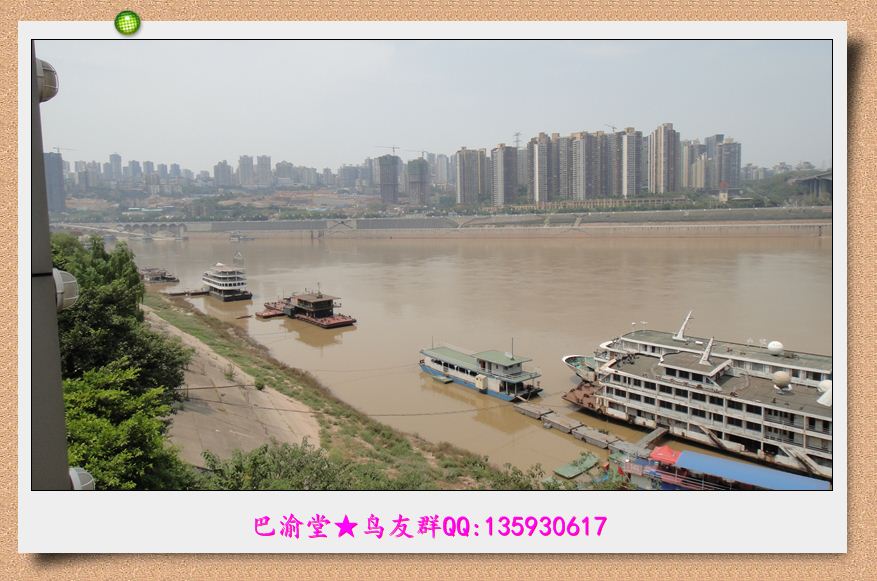 DSC00720.jpg