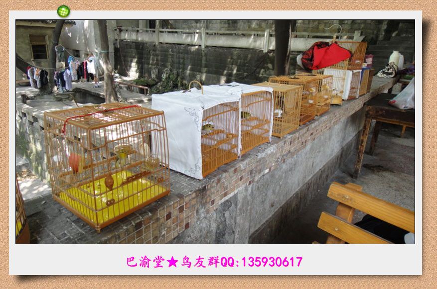 未命名6.jpg