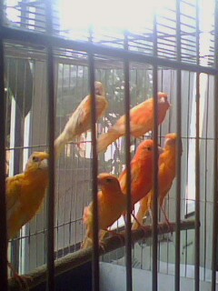 IMG0787A.jpg
