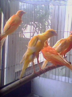 IMG0790A.jpg