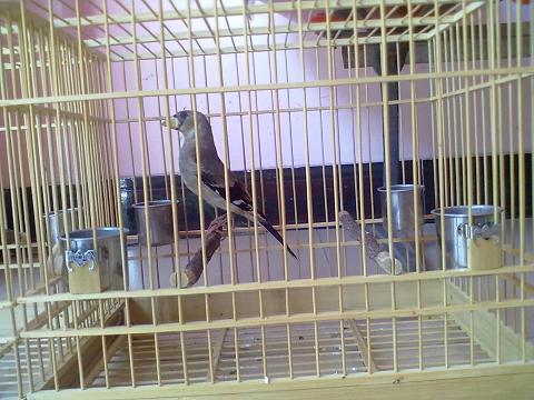 20110811101.jpg