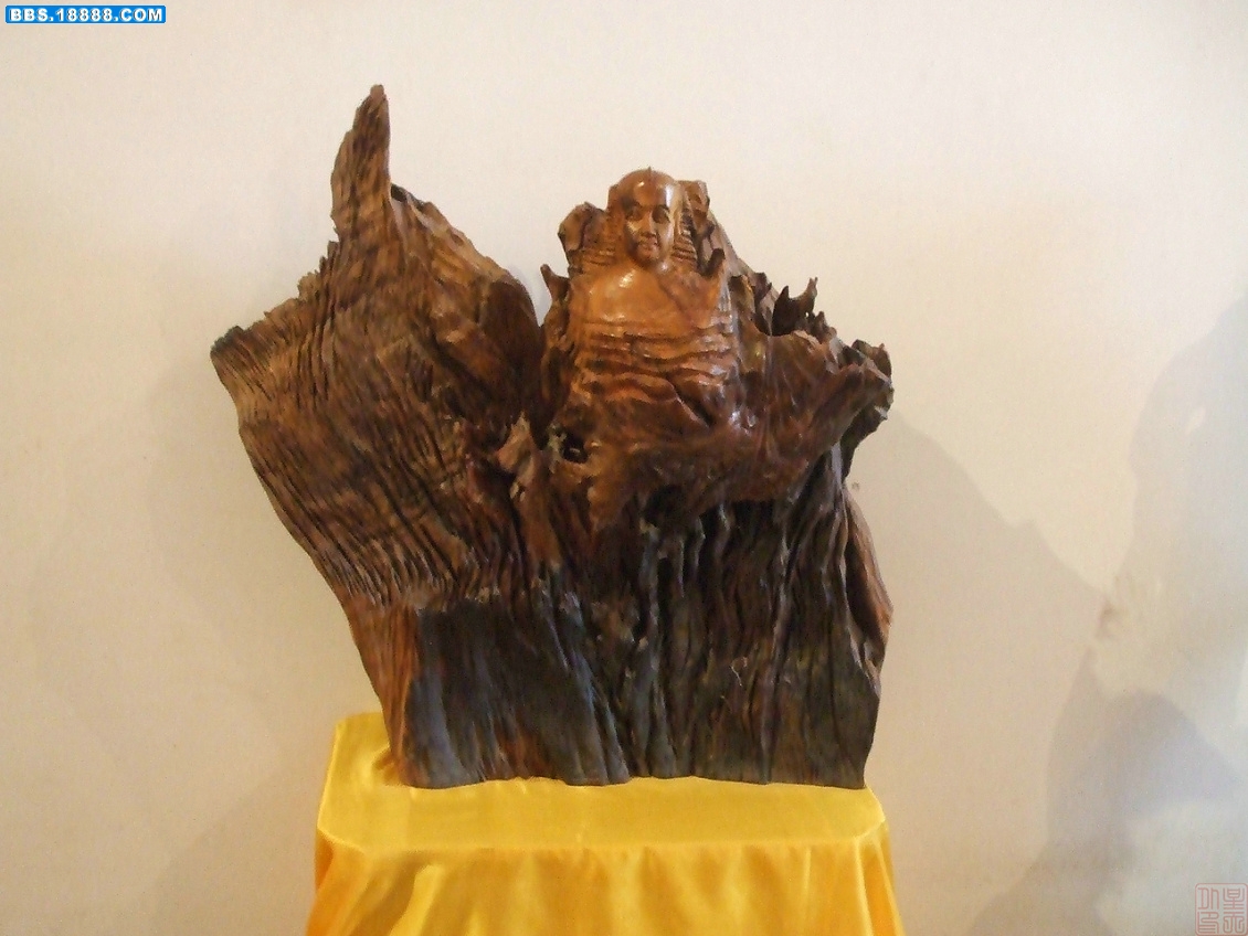 DSCF8236.JPG