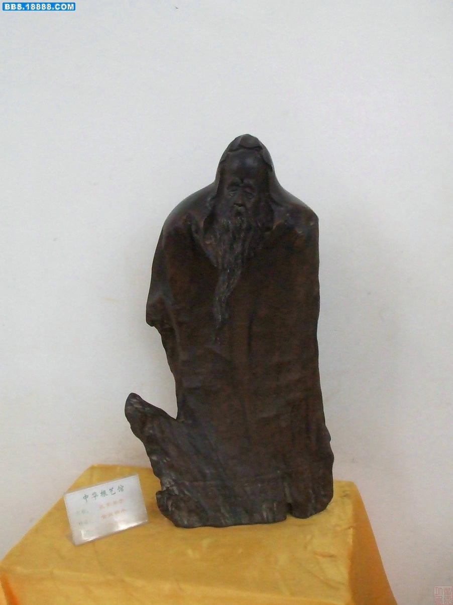 DSCF8233.JPG