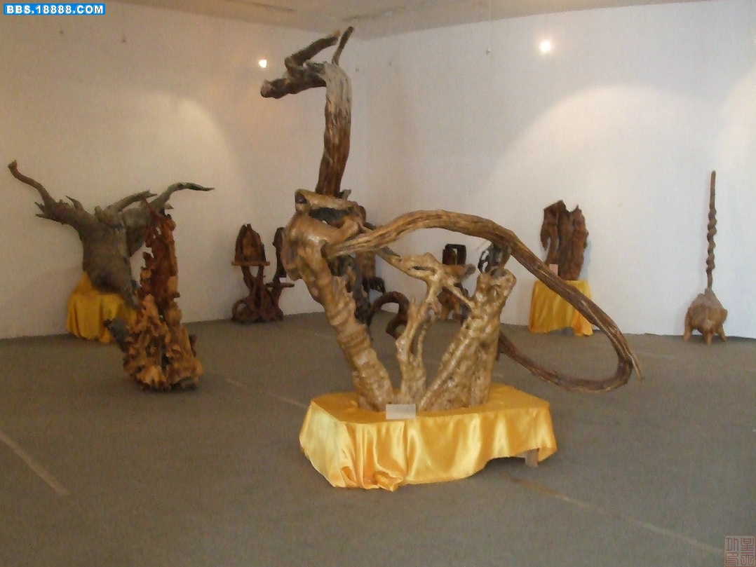 DSCF8234.JPG